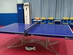 -大凤凰乒乓球馆