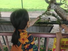 -秦皇岛野生动物园