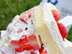 -Dark Horse·黑马蛋糕·低脂·低糖淡奶(金匙望湖大厦店)