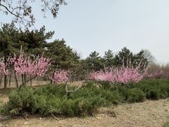-绿堤公园