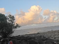 -吴淞炮台湾湿地森林公园烧烤区