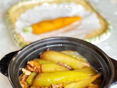 -丁老爷子苏香圆