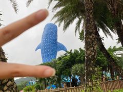 -珠海长隆海洋王国
