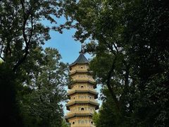 -灵谷景区