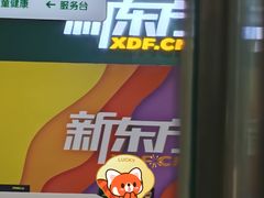 -新东方素质成长中心(金源校区)