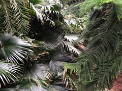 -龙达温泉生态城