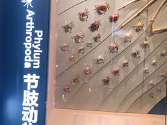 -中国湿地博物馆