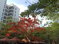 -海南热带海洋学院(三亚校区)
