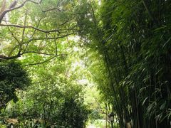 -广州兰圃