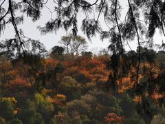 -香山公园