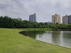 -黄兴公园