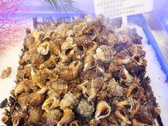 -圣罗巴海鲜烤肉自助(赤峰店)