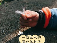 -无锡梅园公园