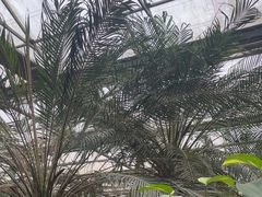 -金稼园·金平湖农家菜