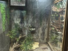 -上海昆虫博物馆