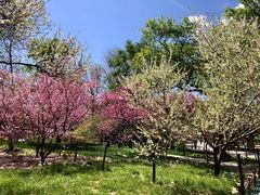 -国家植物园南园