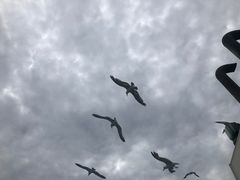 -南翠屏公园