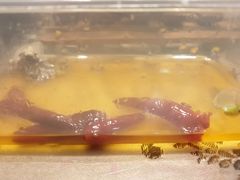 -钱商茉莉香鸭颈王(浑南店)