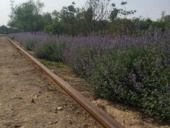 iphone_upload_pic-永定河休闲森林公园