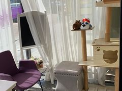 -宠爱国际动物医院· 猫科· 外科·中兽医(长白店)