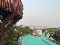 -芒洲湿地公园