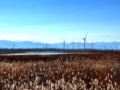 -野鸭湖国家湿地公园