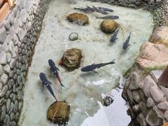 -耕渔小院·湖南鱼鲜(望城店)