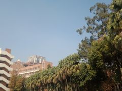 -广州市越秀区育才实验学校