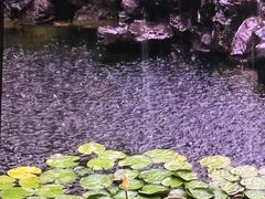 -山塘街