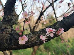 -音乐台