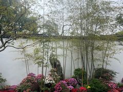 -上海醉白池公园