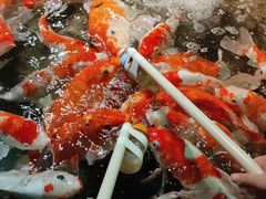 -太平洋海底世界