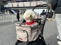 -老浒记烤鸭-北京菜(琉璃厂店)