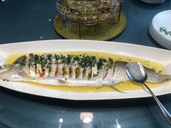 清蒸白水鱼-九福楼大酒店