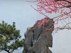 -杭州植物园