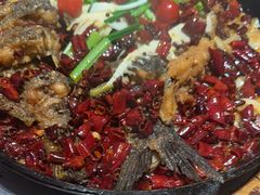 -老板恋上鱼(恒隆广场店)