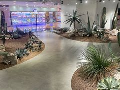 -银座mall(东直门店)