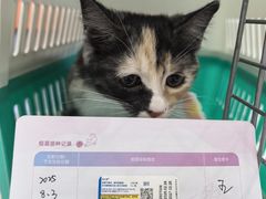 -纳吉亚猫专科动物医院博雅分院