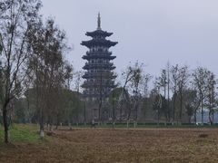 -洋湖国家湿地公园