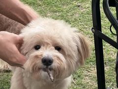 -萌宠主义宠物生活馆(金山路店)