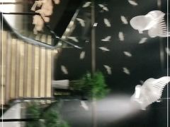 -弗思特周口宴会中心