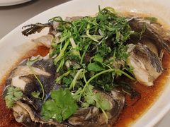 -海港酒家(上水新丰店)