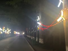 -黄海国家森林公园