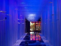 -许家菜.艺创菜(仁和新城店)