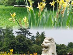-桂湖森林公园