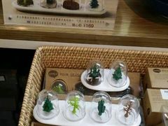 -剪刀石头布家居广场