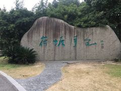 -荷塘月色湿地公园·向阳花洲