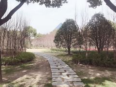 -上海市龙华烈士陵园