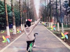 -昆山城市生态森林公园