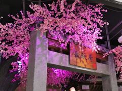 -韵秋荷(宝山龙湖天街店)